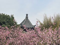 -明故宫遗址公园