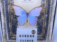 -上海辰山植物园