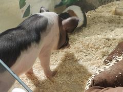 -万隆广场(昆仑大街店)