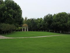 -合肥滨湖国家森林公园