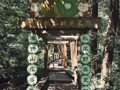 -大岭沟猕猴桃谷风景区