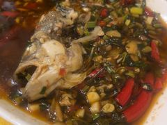 -胖大姐黄辣丁鱼庄(新津店)