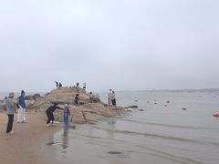 -老虎石海上公园