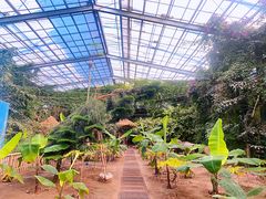 -呀路古热带植物园