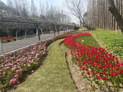 -东平国家森林公园