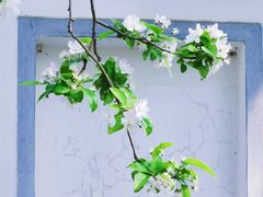 -海棠花溪(元大都城垣遗址公园)