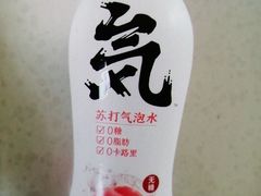 元气森林氦苏打气泡水-云上千禾(水上店)