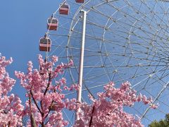 -东湖磨山景区
