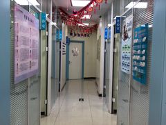 -全心全意连锁动物医院·微创中心·内科急重症·心脏专科(丰管路店)