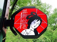 -茶颜悦色(岳麓山顶店)