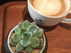 -Peet's Coffee皮爷咖啡(大学路店)