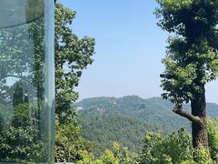 -城外有星光桥舍(南山店)