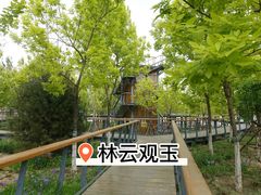 -东郊湿地公园