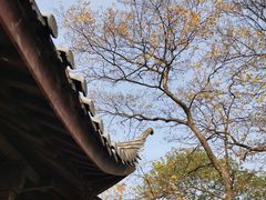 -宝石山