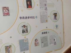 -金色雨林学习力培优(专注力提升)