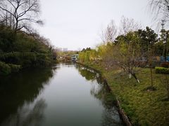-水绘园