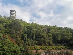 -深圳国际园林花卉博览园