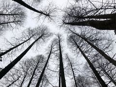 -宁波野生动物园