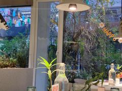 -春树下·树屋花房西餐厅(罍街AS1980店)