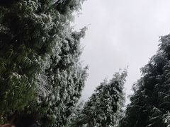 -九峰山