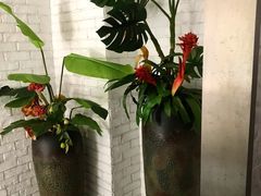 -星悦荟健身游泳(珠江新城店)