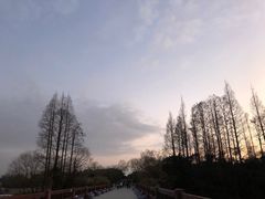 -上海滨江森林公园