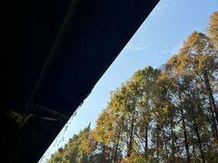 -苗姑酒堂(仁义社区店)