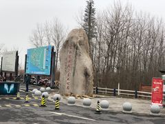 -合肥滨湖国家森林公园