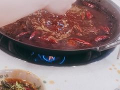 -青年火锅(吾悦广场直营店)