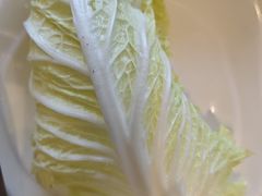 -蝎王府羊蝎子(西直门店)