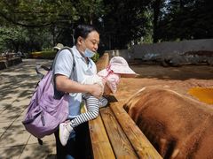 -昆明动物园