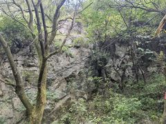 -抱龙峪