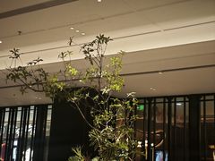 -金春禧(世茂国际广场店)