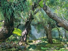 -Chom Cafe and Restaurant