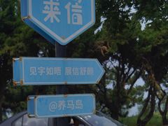 -养马岛旅游度假区