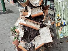 -橡皮书店(翠湖北路店)