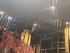 -大渔·观筵(三里屯太古里店)