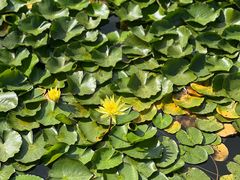 -大连植物园
