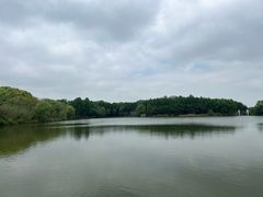 -苏州太湖国家湿地公园