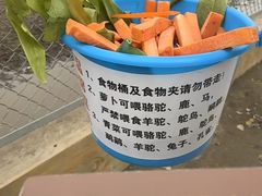 -大青山野生动物园