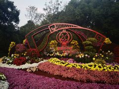 -上海共青森林公园