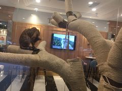 -袖虎·猫馆(体育西路店)