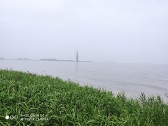 -上海吴淞炮台湾国家湿地公园
