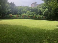 -上海交通大学医学院附属瑞金医院(总院)