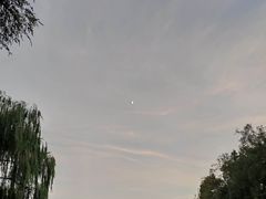 -共青国家森林公园-售票处