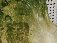 青爽生菜-新石器烤肉(美利广场店)