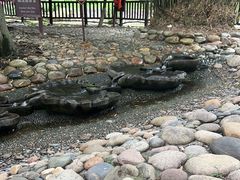 -成都市活水公园