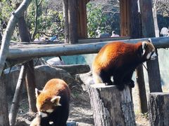 -宁波野生动物园