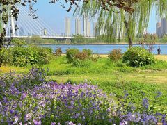 -咸阳湖景区