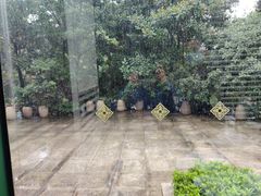 -金海湾自助餐厅(金陵饭店)